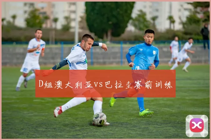D组澳大利亚vs巴拉圭赛前训练