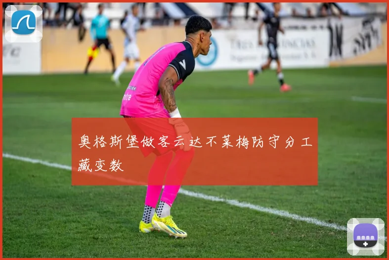 奥格斯堡做客云达不莱梅防守分工藏变数