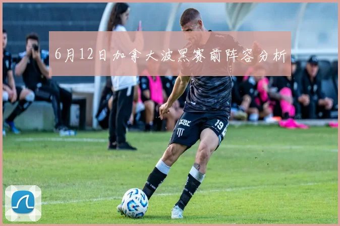 6月12日加拿大波黑赛前阵容分析