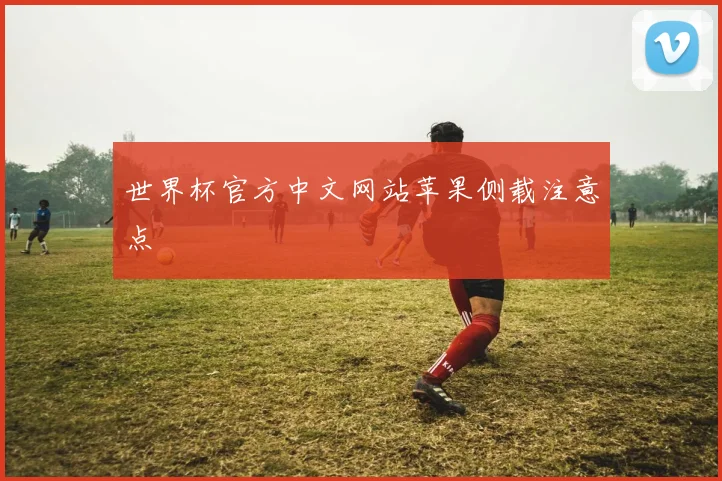 世界杯官方中文网站苹果侧载注意点