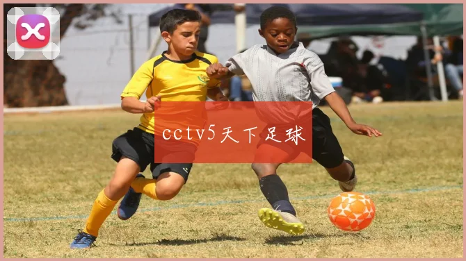 cctv5天下足球